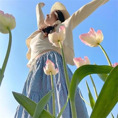 大决战之辽沈战役